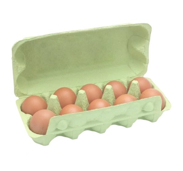 Embalaža za 10 jajc celulozni karton, zelen [140 kos/pak]