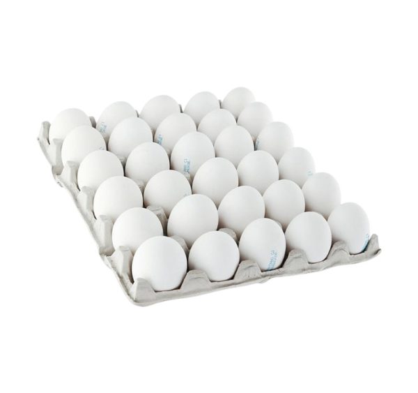 Pladenj za 30 jajc celulozni karton, siva [125 kos/pak]