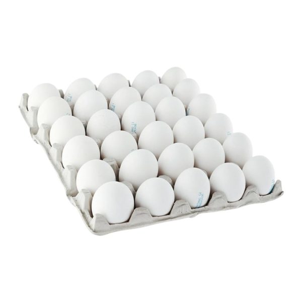 Pladenj za 30 jajc celulozni karton, siva [125 kos/pak]
