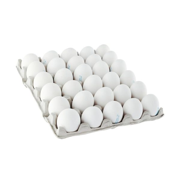 Pladenj za 30 jajc celulozni karton, siva [125 kos/pak]